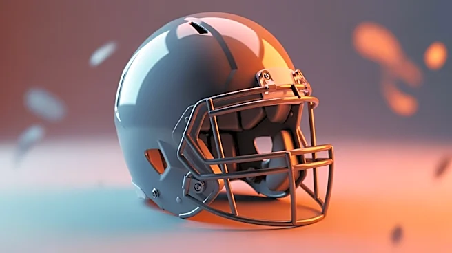 Miami Dolphins Fans Express Mixed Opinions on Roster Following OTAs