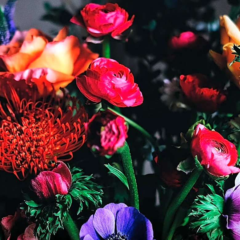 Marlene Simon Discusses Garden Flowers for Bouquets and Houseplant Care