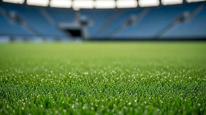 NFL Players' Association Advocates for Grass Fields Following World Cup Example