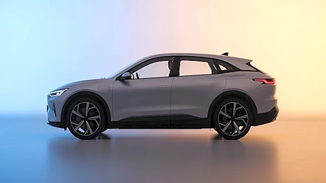 Used Tesla Model X Offers Affordable Electric Family Hauler Option with Risks