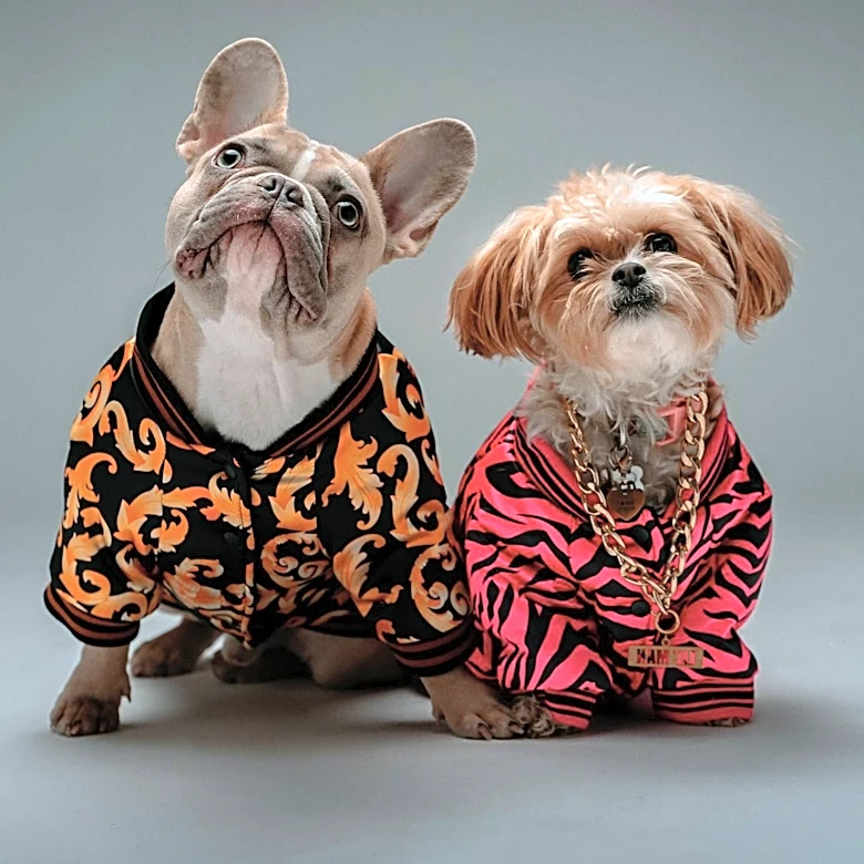 Los Angeles Hosts 'Dare to Strut' Dog Fashion Show Celebrating Canine Couture