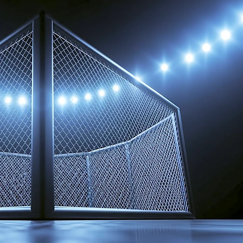 Dana White Celebrates UFC White House Event's Record Viewership