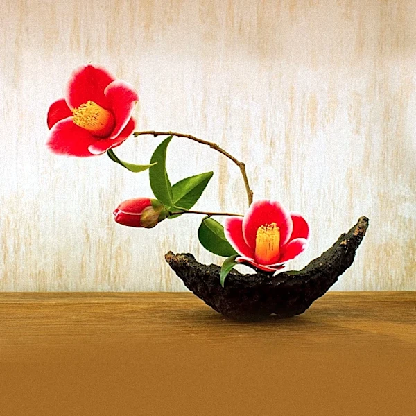 Americans Embrace Ikebana, Reviving Japanese Flower Arrangement Art