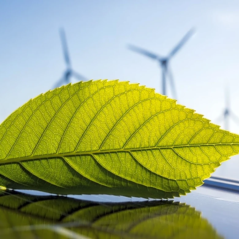 Polycab Invests in Continuum Green Energy for Renewable Power