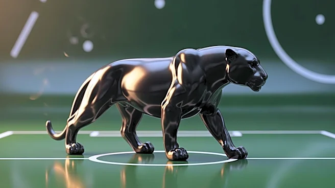 Black Jaguar in Rio Predicts Brazil's Victory Over Scotland in World Cup Group C