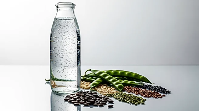 Protein Sodas Emerge as New Innovation Opportunity in U.S. Beverage Market