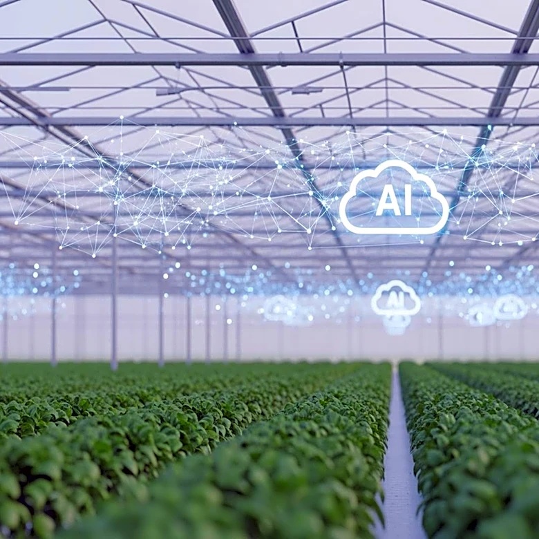 Agriculture Firms Leverage AI and Cloud ERP to Enhance Operations and Cut Costs