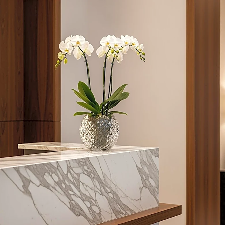 Gilles Bontems Appointed as General Manager at Brach Paris to Enhance Luxury Experience