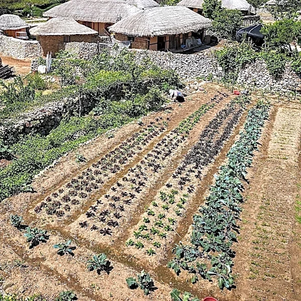 Slow Food Movement Highlights Community and Terroir at Dacian Farm Event