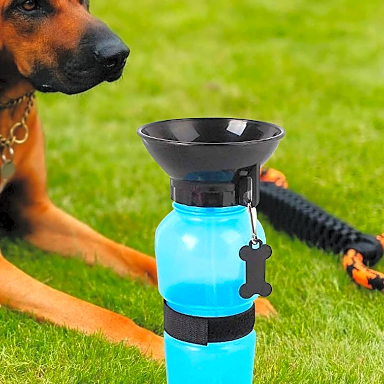 Omni Pet Secures $14.5 Million to Launch Innovative Dog Health Products