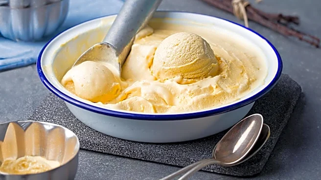 Ninja Creami Ice Cream Maker Sees Price Drop for Prime Day, Boosting Consumer Interest