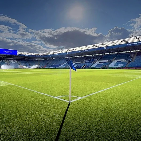 Arctos, RVX, and Magellan Launch Sports-Anchored Development Platform