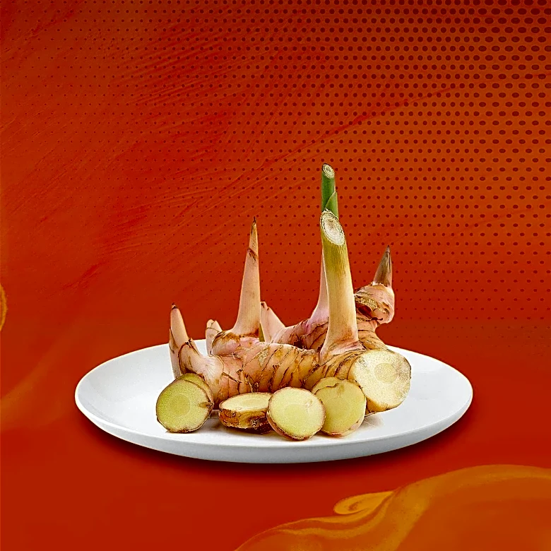 Kemin Expands North American Sales Team to Enhance Food Technology Solutions