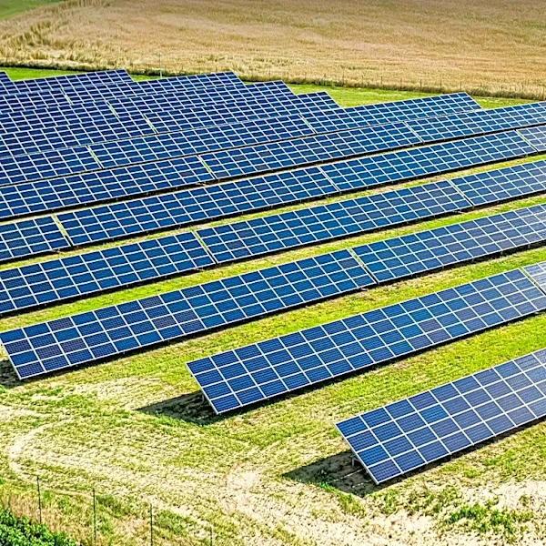 Global Solar Council Launches AgriPV Taskforce to Boost Solar and Agricultural Integration