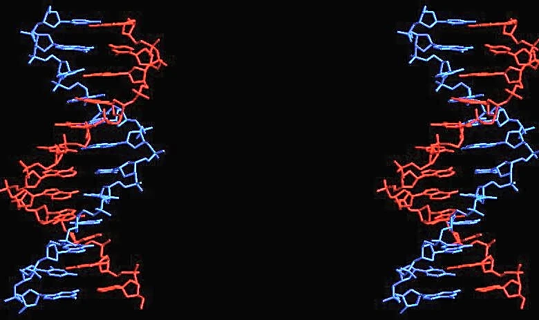 Vyriad Announces Leadership Changes to Propel Growth in Genetic Medicine