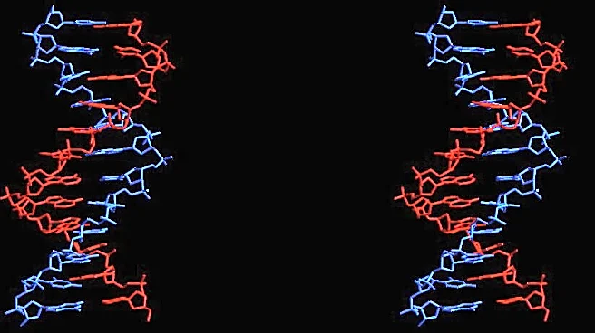 Vyriad Announces Leadership Changes to Propel Growth in Genetic Medicine