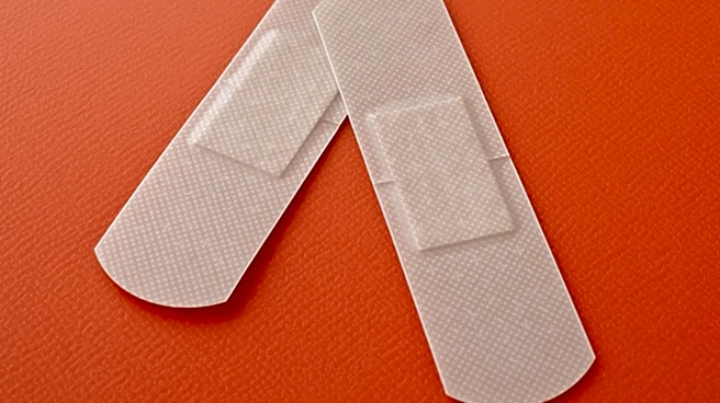 Anodyne Nanotech Secures $12.6 Million to Advance GLP-1 Patch for Obesity Treatment