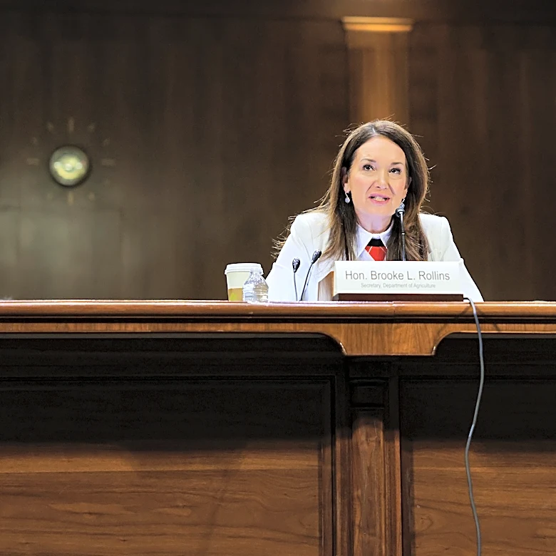 Judge Allows Workday Hiring Bias Case to Proceed, Highlighting AI Risks