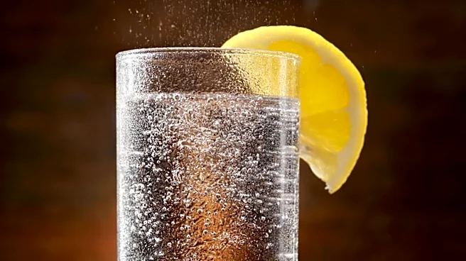 OSF Flavors Introduces Framework to Enhance Prebiotic Soda Formulations