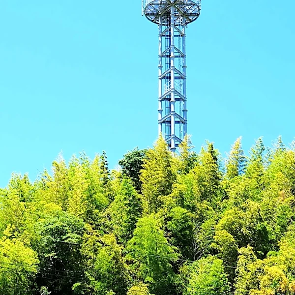 U.S. Spectrum Auction to Fund Removal of Chinese Telecom Equipment