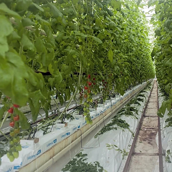 USDA Allocates $125 Million for Modernizing Agricultural Research Facilities