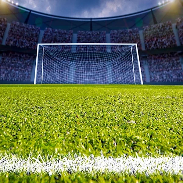 Retired Biglaw Partner Takes on Role as Miami's World Cup Consigliere Amid Legal Challenges