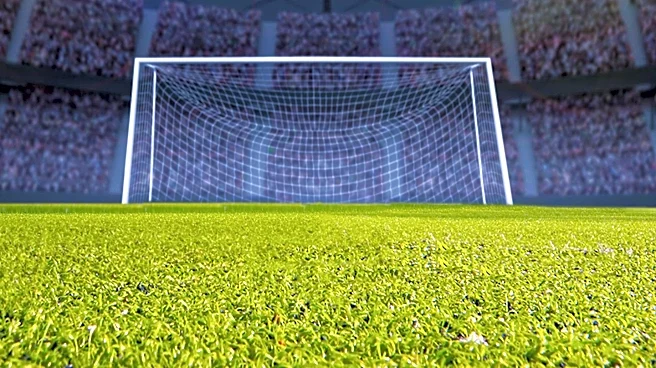Retired Biglaw Partner Takes on Role as Miami's World Cup Consigliere Amid Legal Challenges