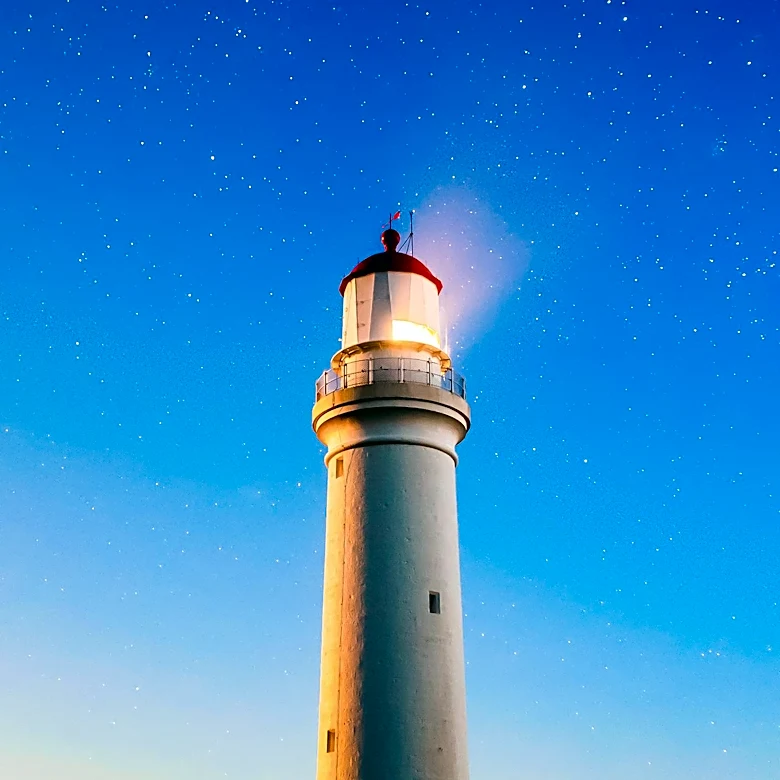 Lighthouse and Bowerbird Technologies Partner to Address Hotel Rate Parity Issues