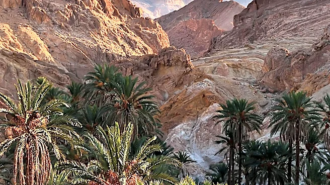 Exploring Active Adventures in Palm Springs, California