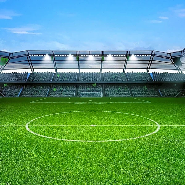 Germany and Ecuador Face Off in Crucial World Cup Match