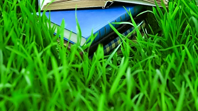 New Summer Book Releases Highlight Literary Adaptations and Anticipated Reads