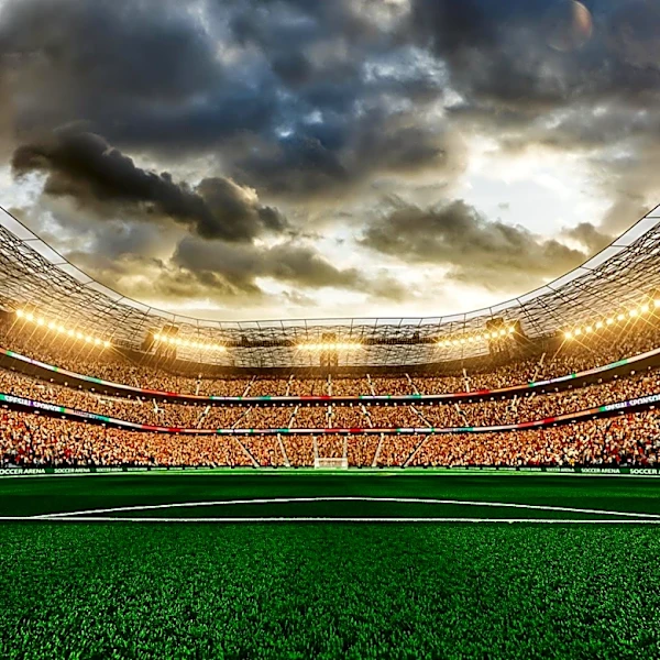 Australia and Paraguay Face Off in Crucial World Cup Group D Match