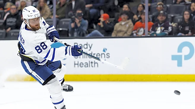 Toronto Maple Leafs to Decide Between McKenna and Stenberg in 2026 NHL Draft