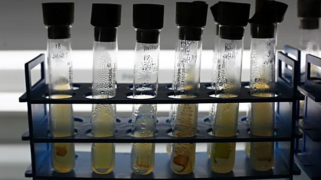 Countable Labs and Promega Partner to Enhance Biological Sample Processing