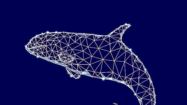 Digna Launches Python SDK and Docker Deployment to Enhance Data Quality Integration