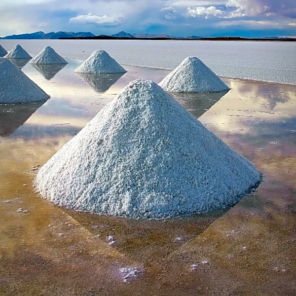Buffalo Potash Secures $14.01 Million in First Tranche for Disley Project Development