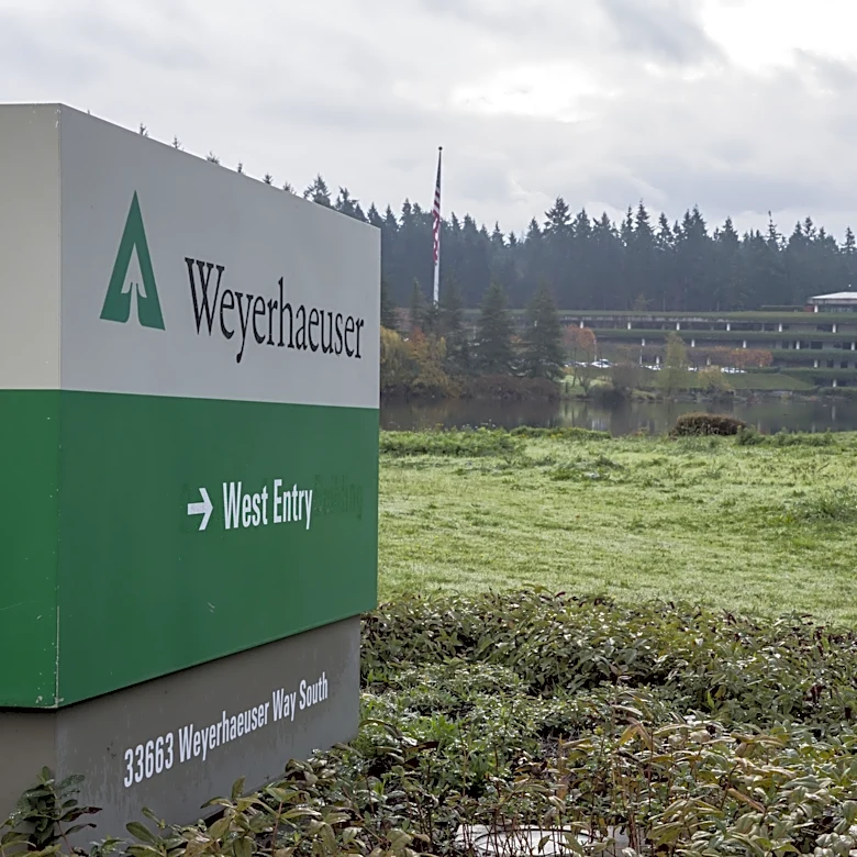 Weyerhaeuser to Announce Second Quarter Results Amidst Timberland Management Focus