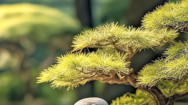 The Rock Garden in North Georgia Offers Unique Miniature Attractions