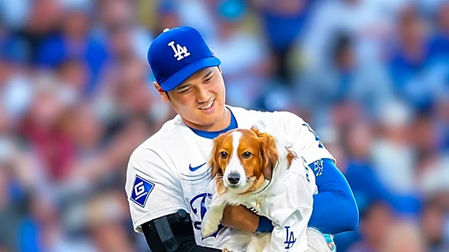 Trenton Thunder's 'Rookie' the Bat Dog Retires, Continues as Goodwill Ambassador