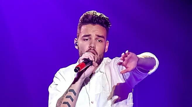 Netflix Cancels 'Building The Band' Following Liam Payne's Death