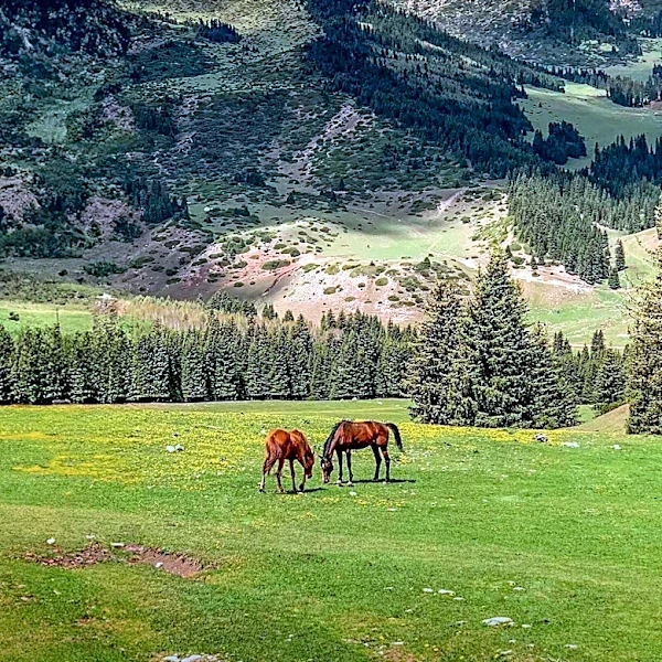 Horseback Riders Discover Eerie Sound Source on Mount Shasta
