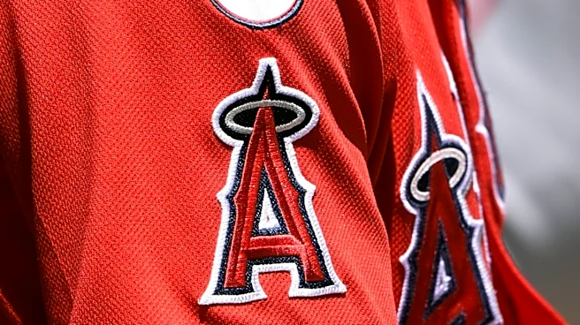 Los Angeles Angels Dismiss GM Perry Minasian, Appoint John Mozeliak as Interim GM