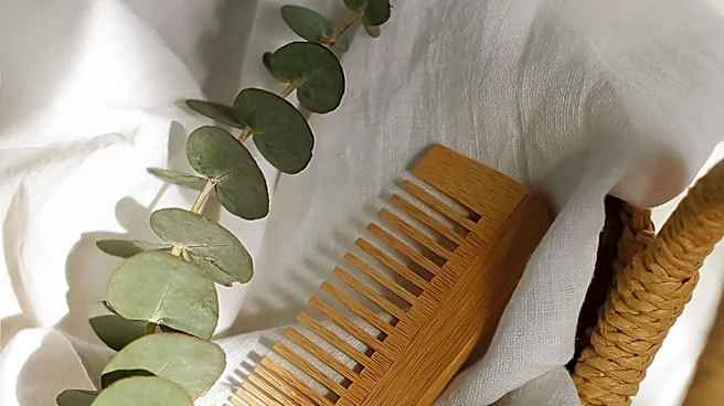 Minimalist Living Trend Influences Sustainable Funeral Practices