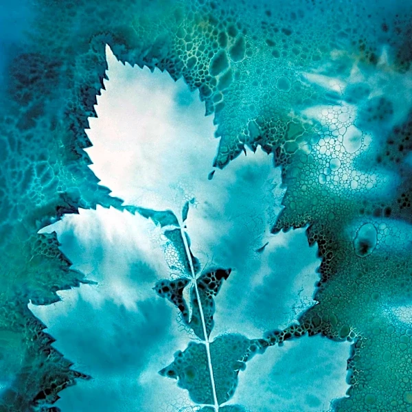 Malin Fabbri Releases Comprehensive Guide on Anthotype Photography