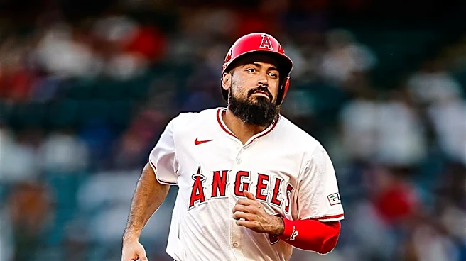 Los Angeles Angels Fire GM Perry Minasian Amidst Ongoing Struggles