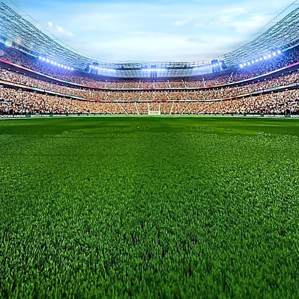 Boston, Philadelphia, and Seattle Embrace Global Fans During FIFA World Cup