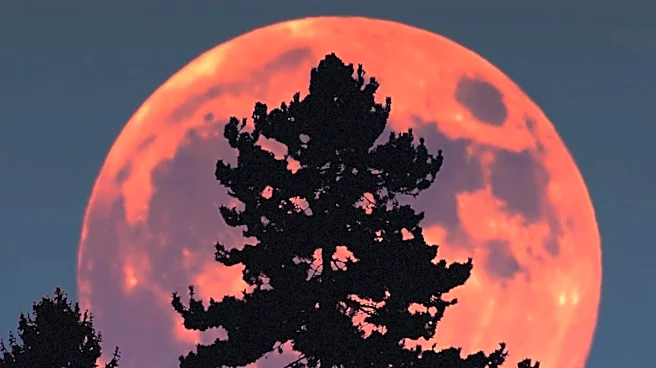 June's 'Strawberry Moon' to Illuminate Skies with Unique Path and Color