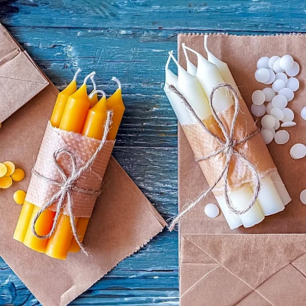 Northern America Candelilla Wax Market Set for Growth Amid Sustainability Trends