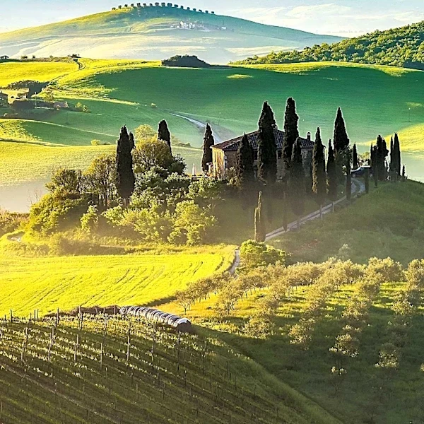 Christopher Cellars Offers Unique Wine Experiences with Italian and Mediterranean Varieties