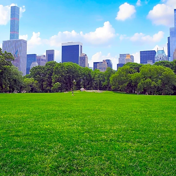 NYC Hosts 45th Annual Pride Run in Central Park with Thousands Participating
